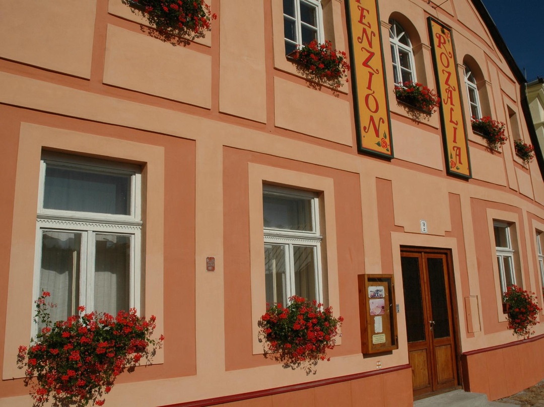 Penzion Rozalia主图