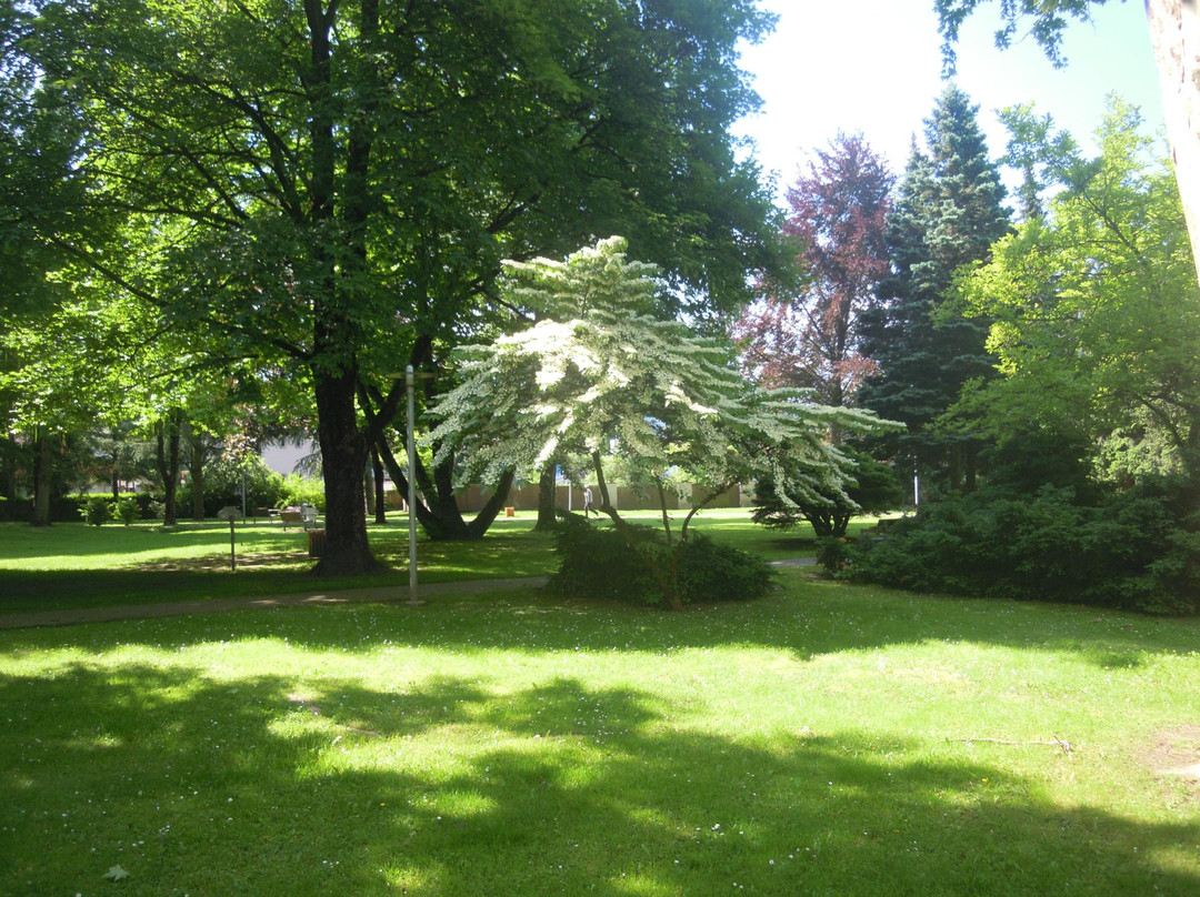 Leoben City Park-莱奥本必去景点