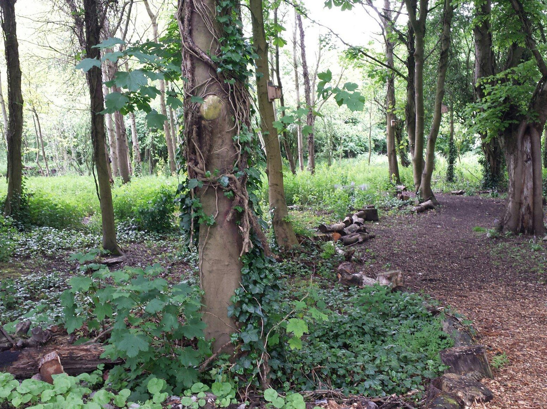 Stadt Moers Park-Prescot必去景点