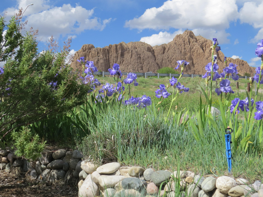 Vivác Winery-Dixon必去景点