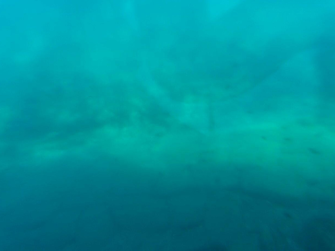 Parco Archeologico Marino Sommerso di Baia - Battello Cymba-Baiae必去景点