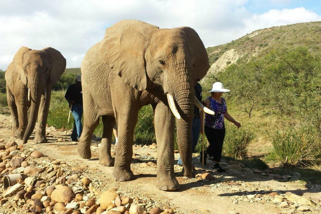 Cape Personalised Tours-开普敦中心区必去景点