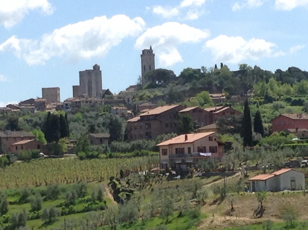 Podere La Marronaia- Le Colonne Biodynamic Winery & Farm-圣吉米尼亚诺必去景点