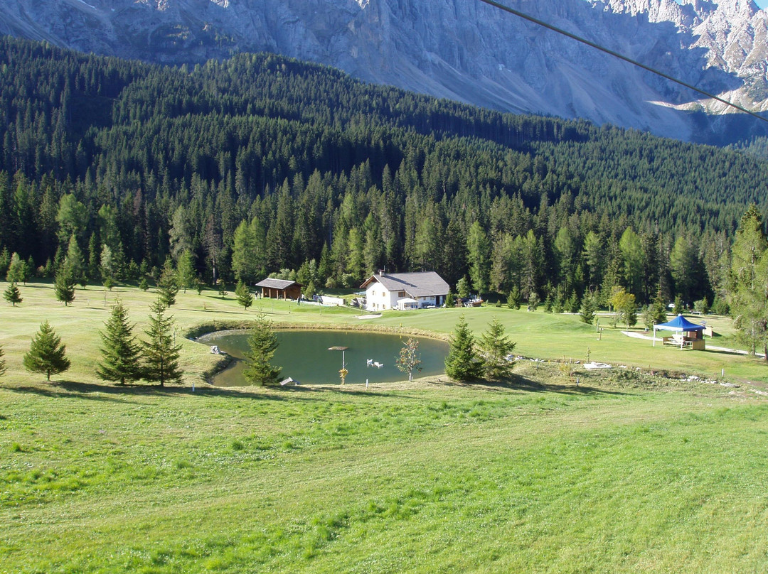 Carezza Golf Club景点图片