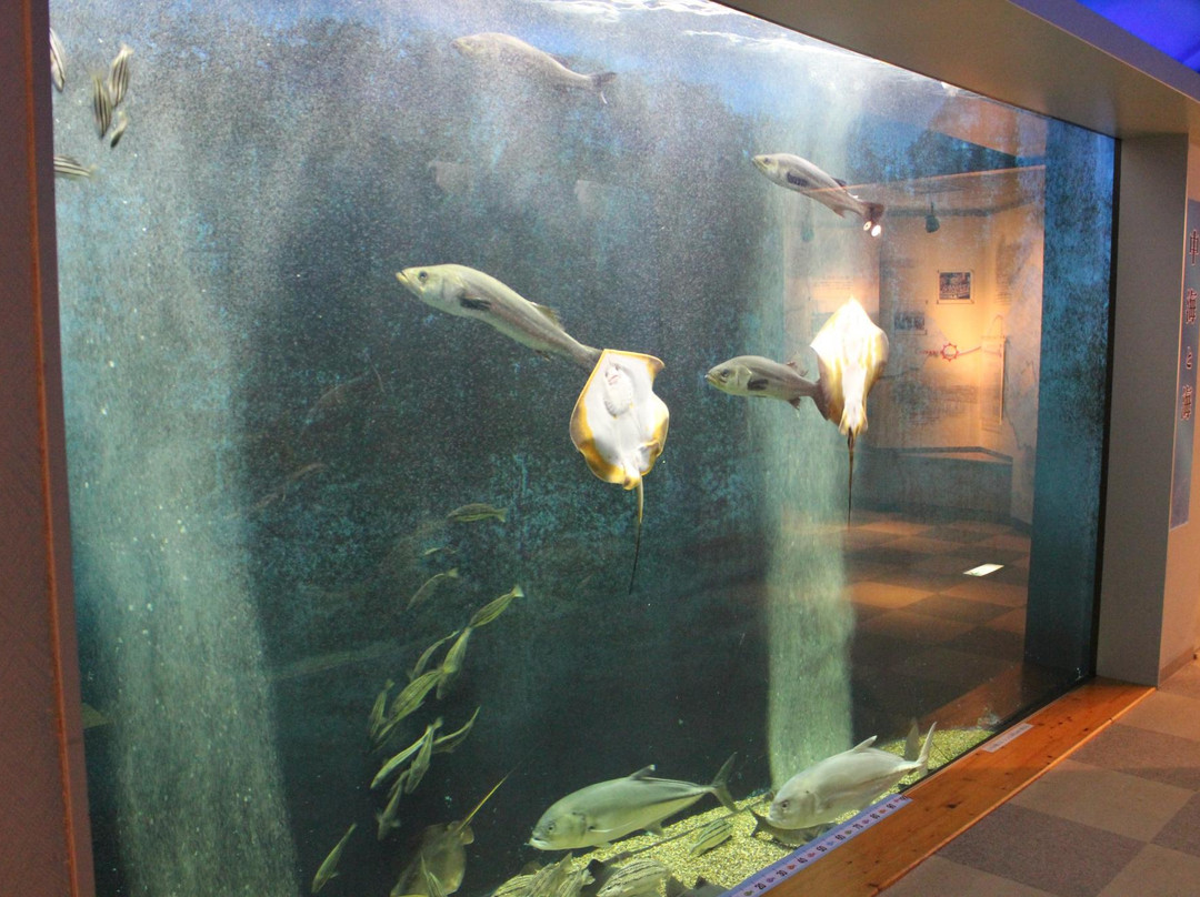 Shinjiko Nature Museum Gobius-出云市必去景点