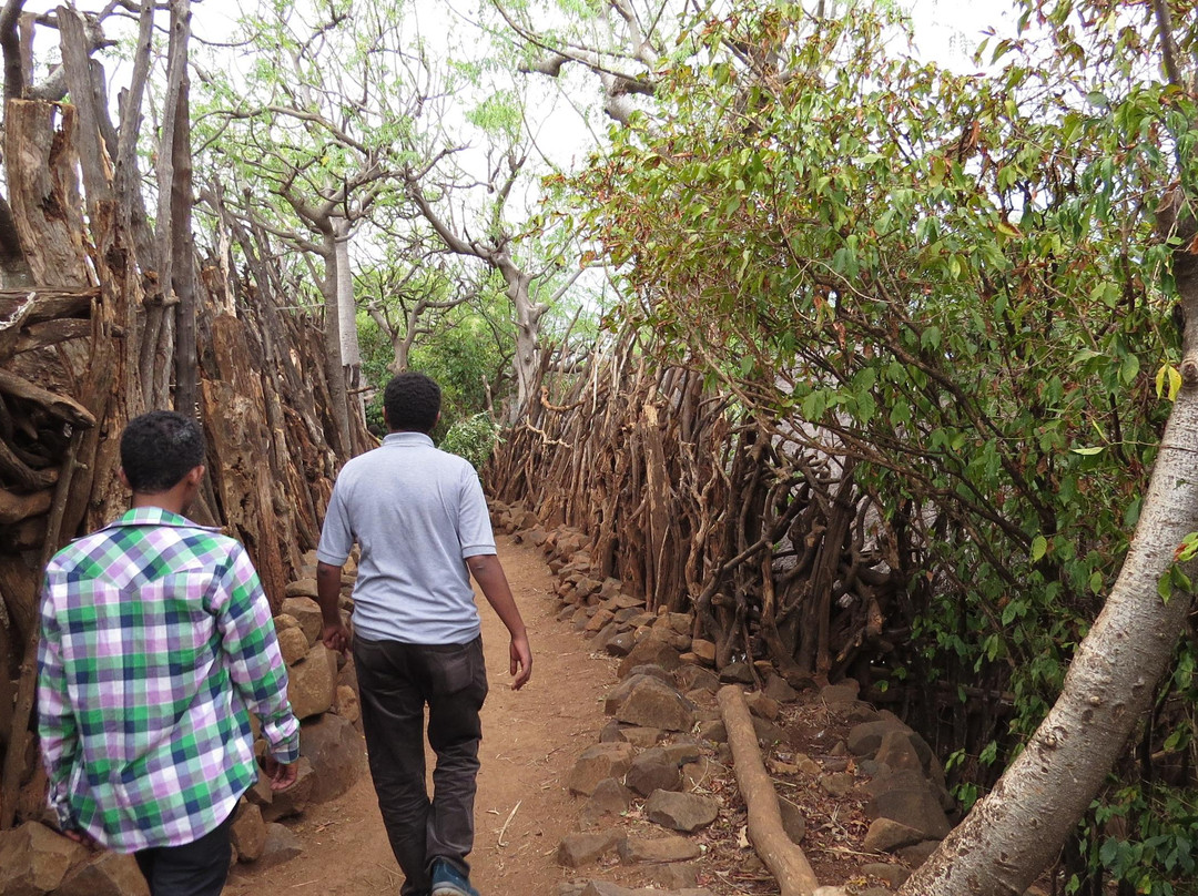 Konso Cultural Centre景点图片