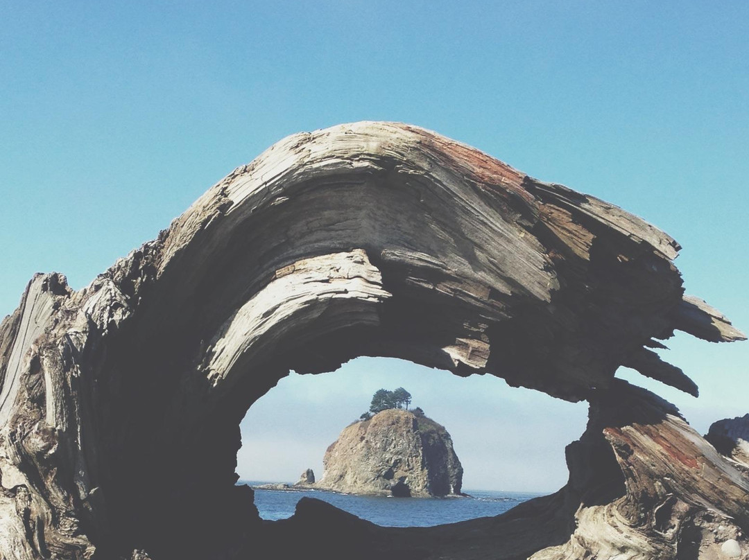 La Push Beach景点图片