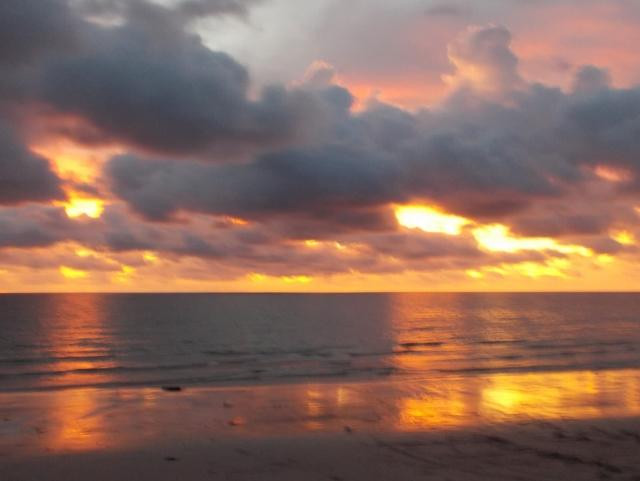 Tropical Research and Conservation Centre-古达必去景点