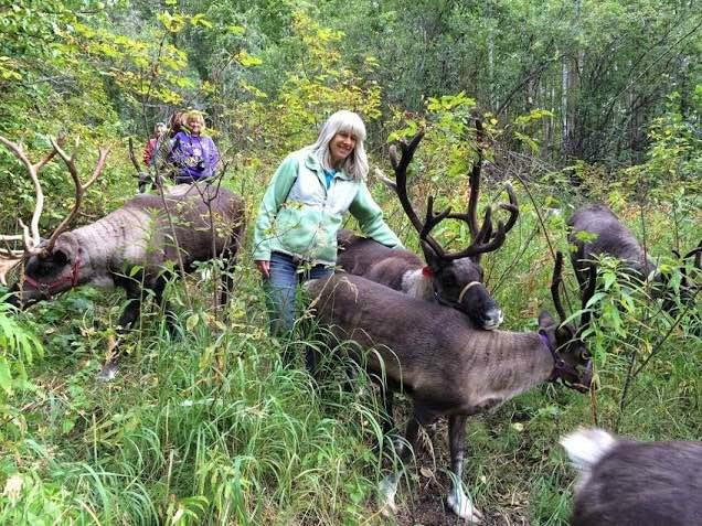 驯鹿牧场-null必去景点