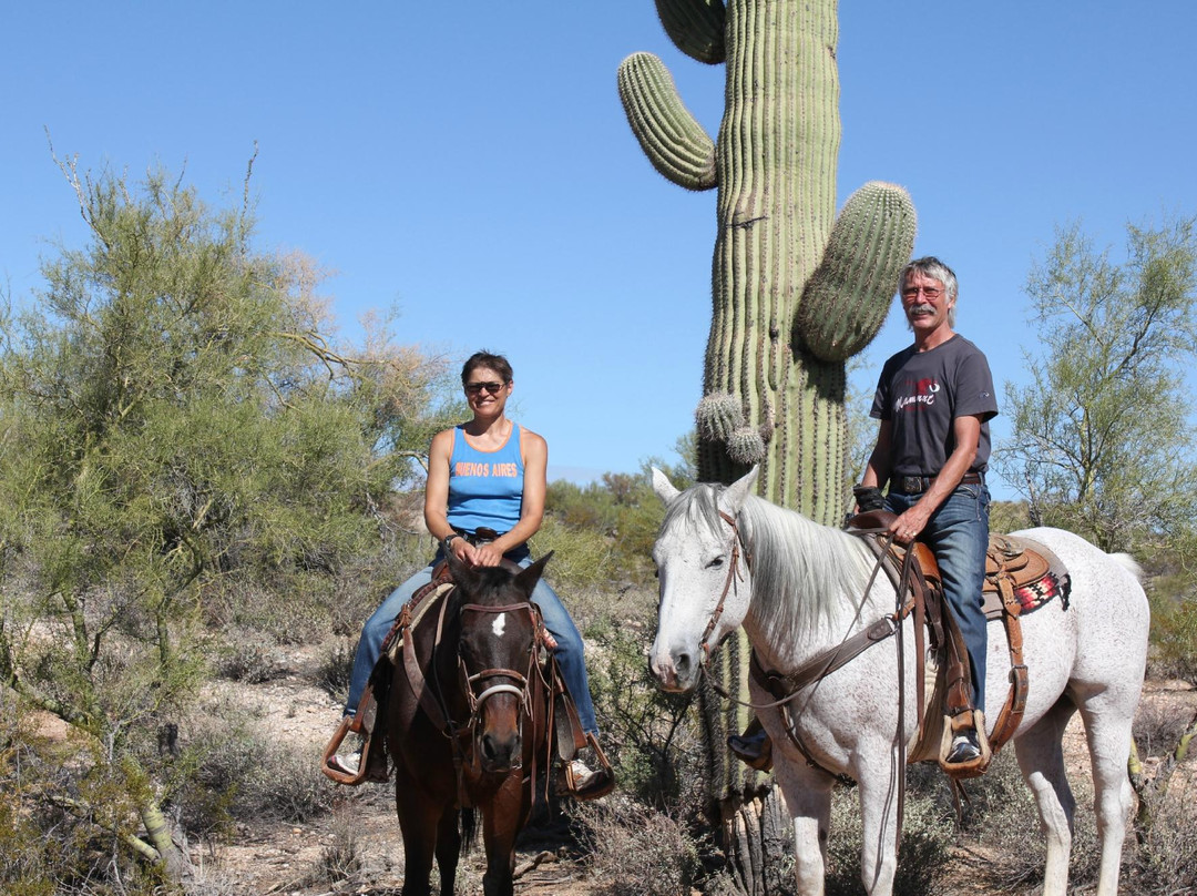 Effus Ranch-Wickenburg必去景点