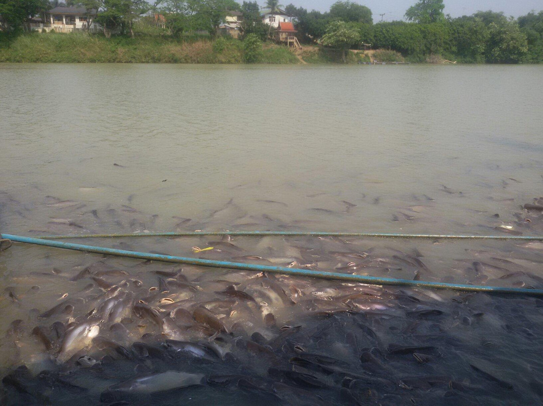 Wat Tonson-红统必去景点