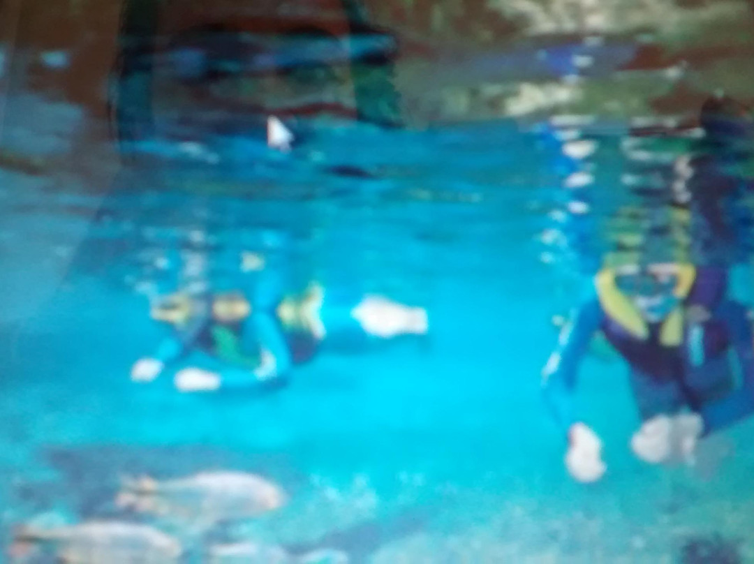 Rio Sucuri-博尼图必去景点