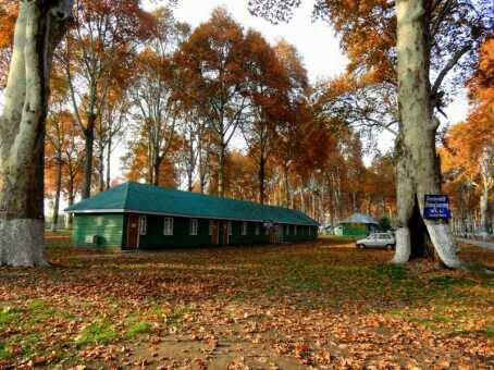 Nasim Bagh-斯利那加必去景点