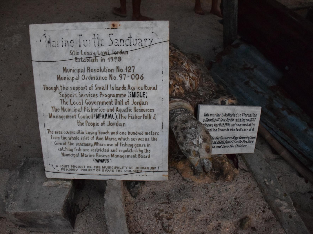 Sea Turtle Temporay Feeding and Caring Station景点图片