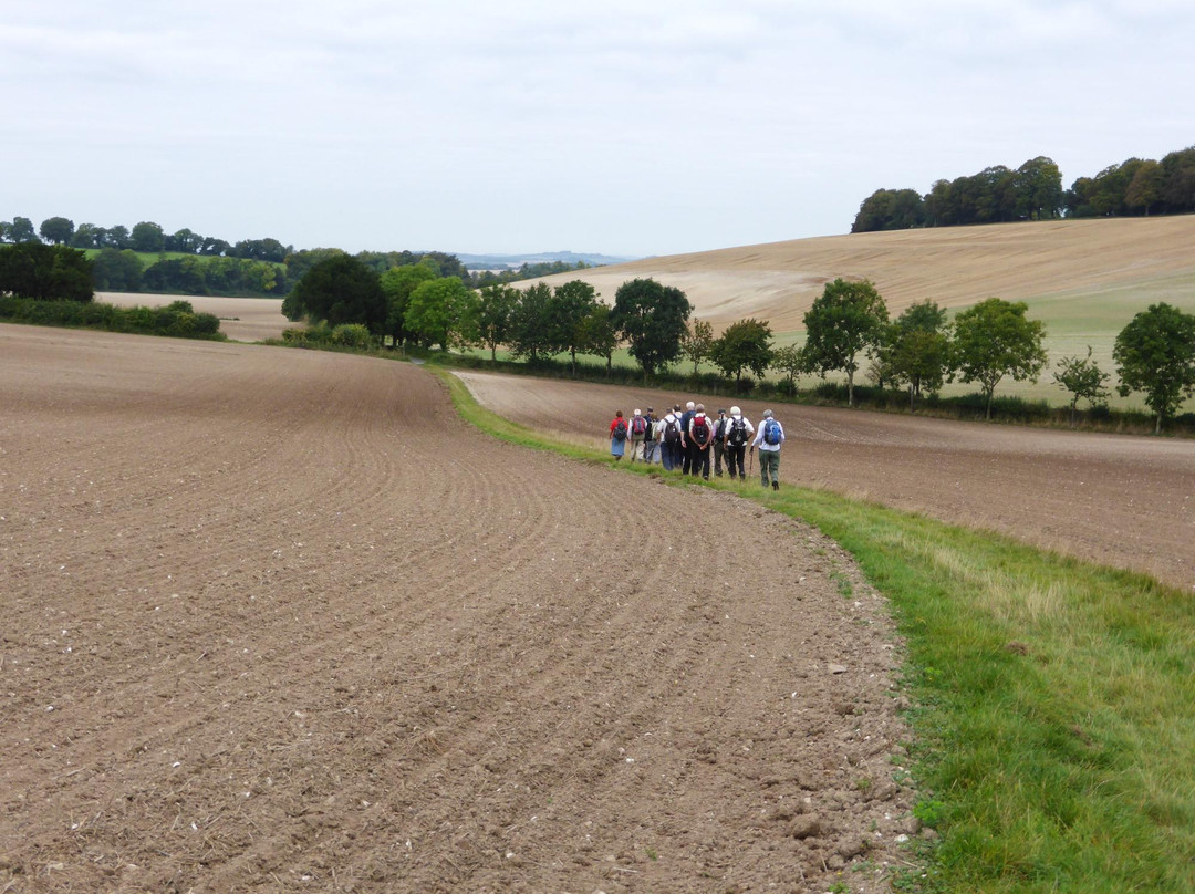 Fuzzacker Guided Walks and Tours-利明顿必去景点