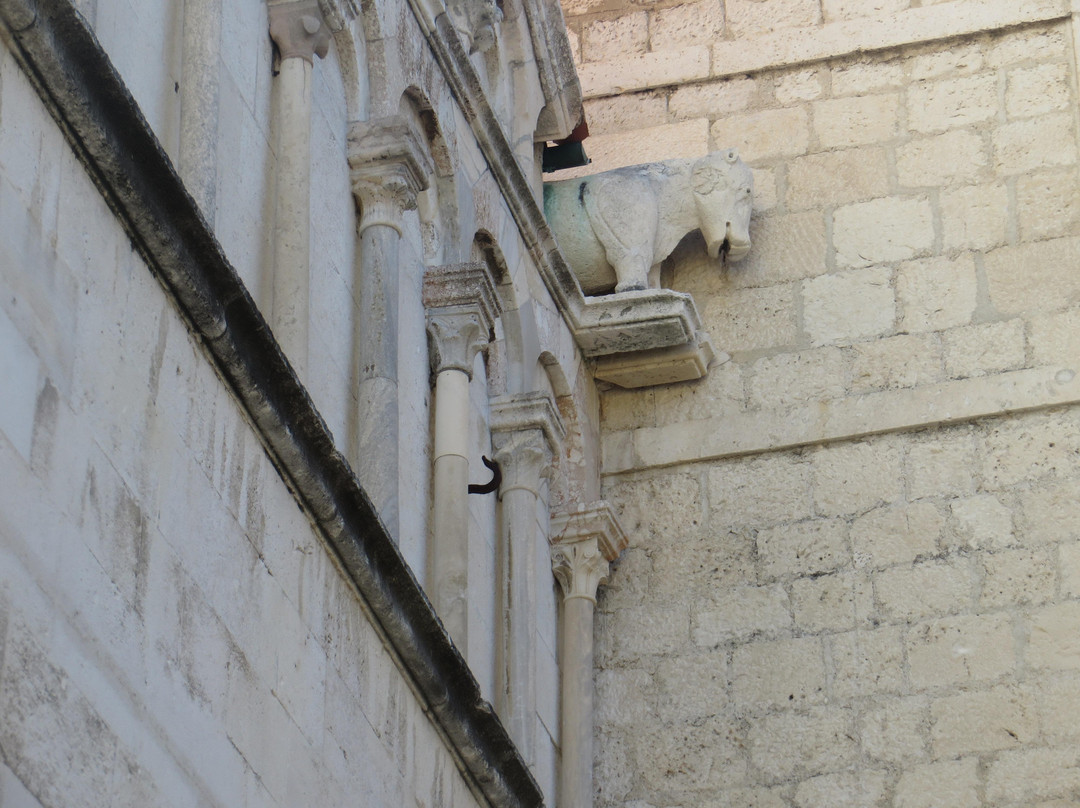 Cathedral of St. Anastasia景点图片