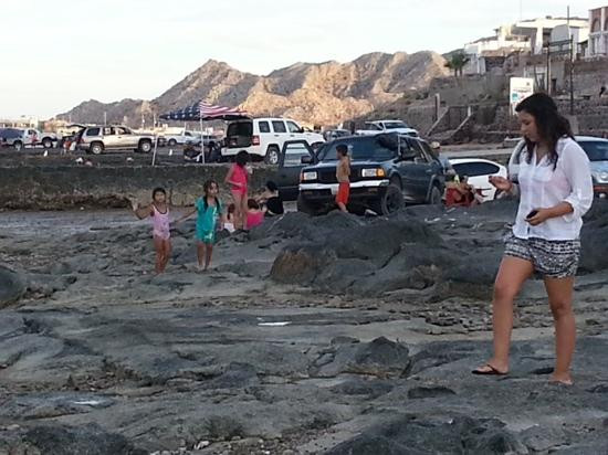 Cholla Bay-La Choya必去景点