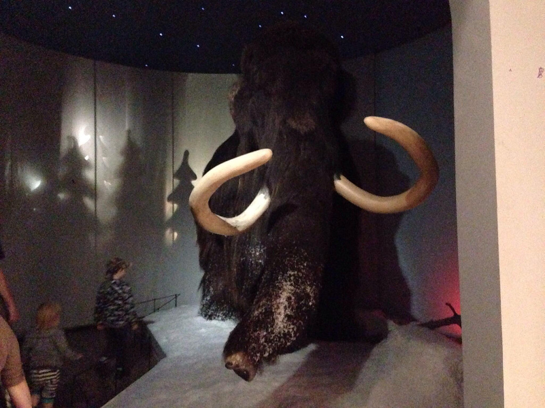 Kuopio Museum-库奥皮奥必去景点