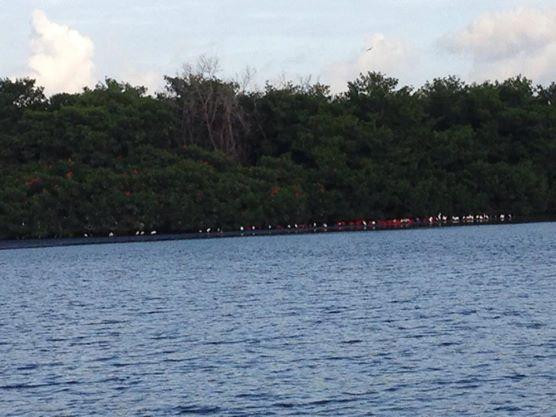 Caroni Lagoon National Park-特立尼达必去景点
