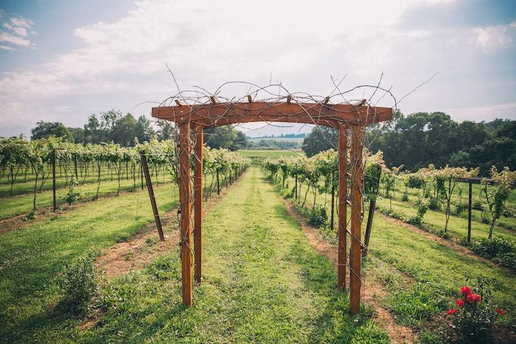 Orchid Cellar Meadery And Winery-Middletown必去景点