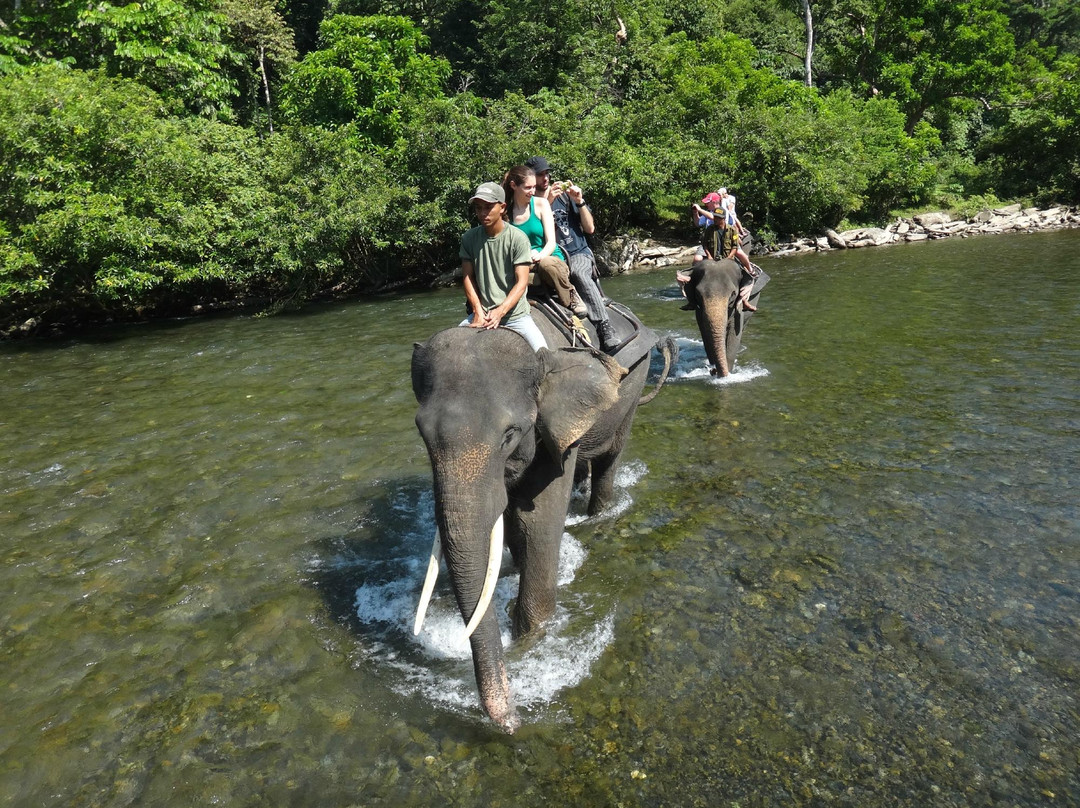 Bukit Lawang - Jungle Trekking Sumatra-武吉拉旺必去景点