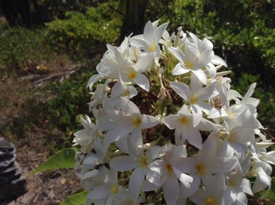 West End Point Outlook-Cayman Brac必去景点