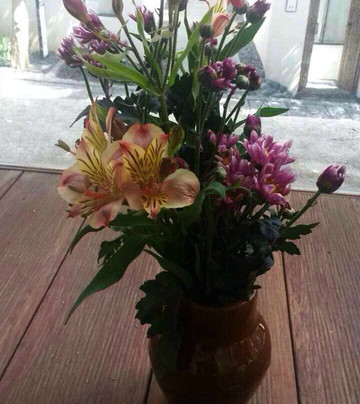 大理古城一号院主图