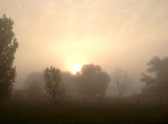 Quality Inn Logan Near University主图