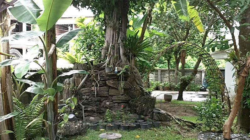 Dr. Tui's Bed and Breakfast主图