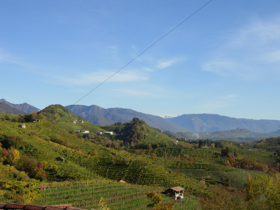 Canello azienda agricola景点图片