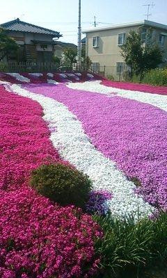 Kakumatsujyaku Memorial Museum-市川市必去景点