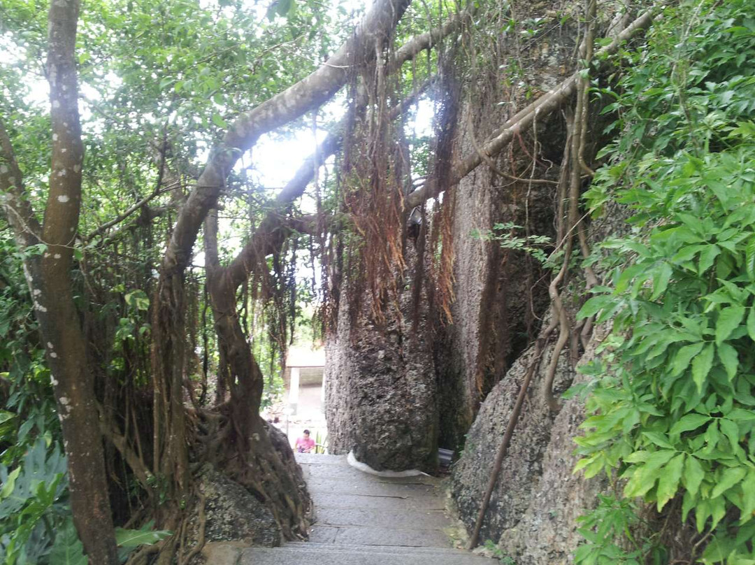 鹿回头公园景点图片