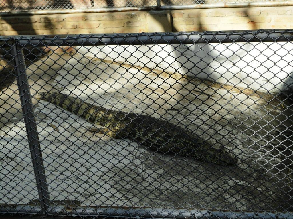 Parque Zoo-botanico da Caatinga-Petrolina必去景点