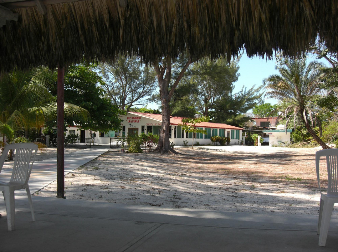 Freedom Shores主图