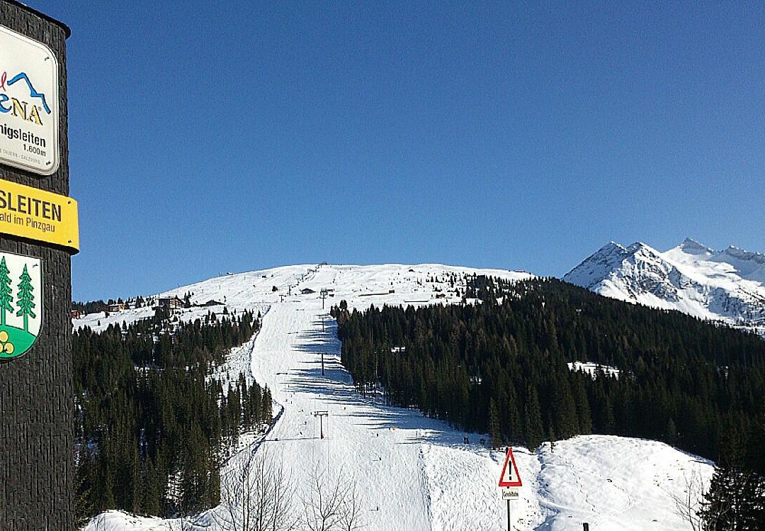 森林品兹高旅游攻略图片