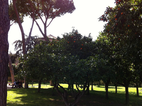 Elebike Rome-罗马必去景点