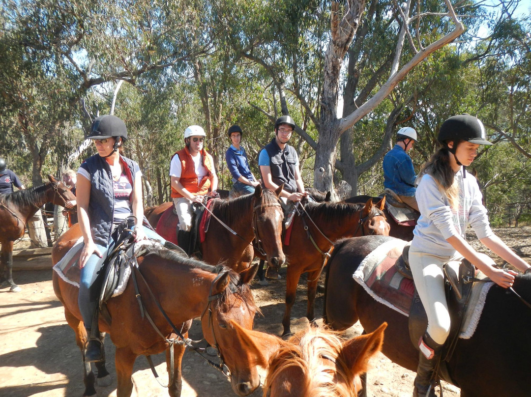 Uncle Nev's Trail Rides景点图片