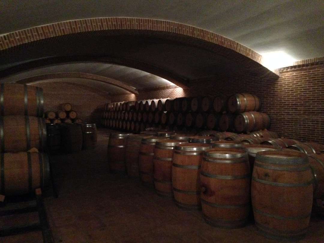 Bodegas y Viñedos Castiblanque景点图片