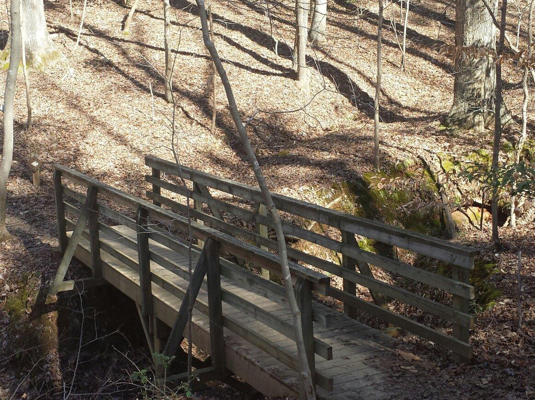 Lake Norman State Park景点图片