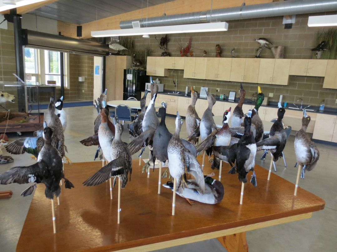 Driftless Area Wetlands Centre景点图片