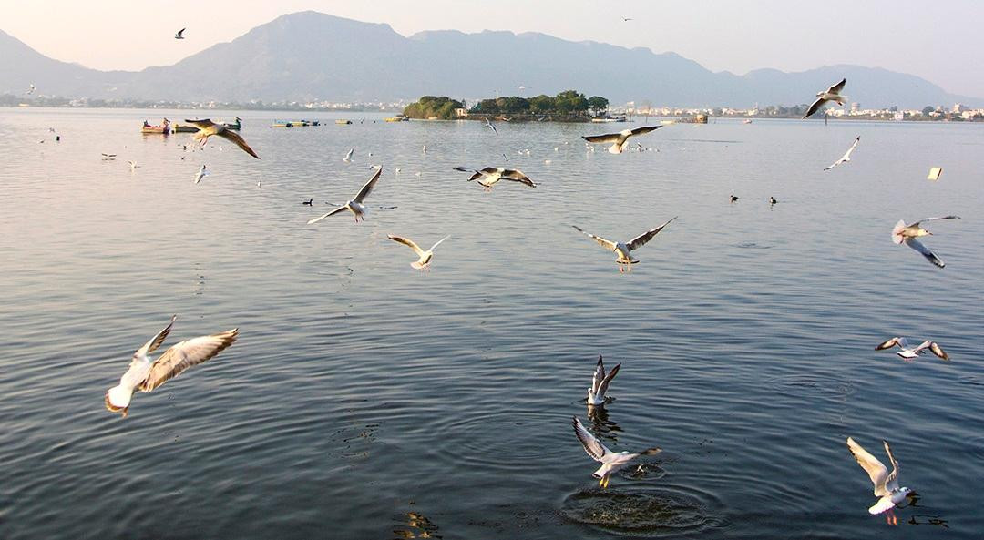 Ana Sagar Lake-阿杰梅尔必去景点