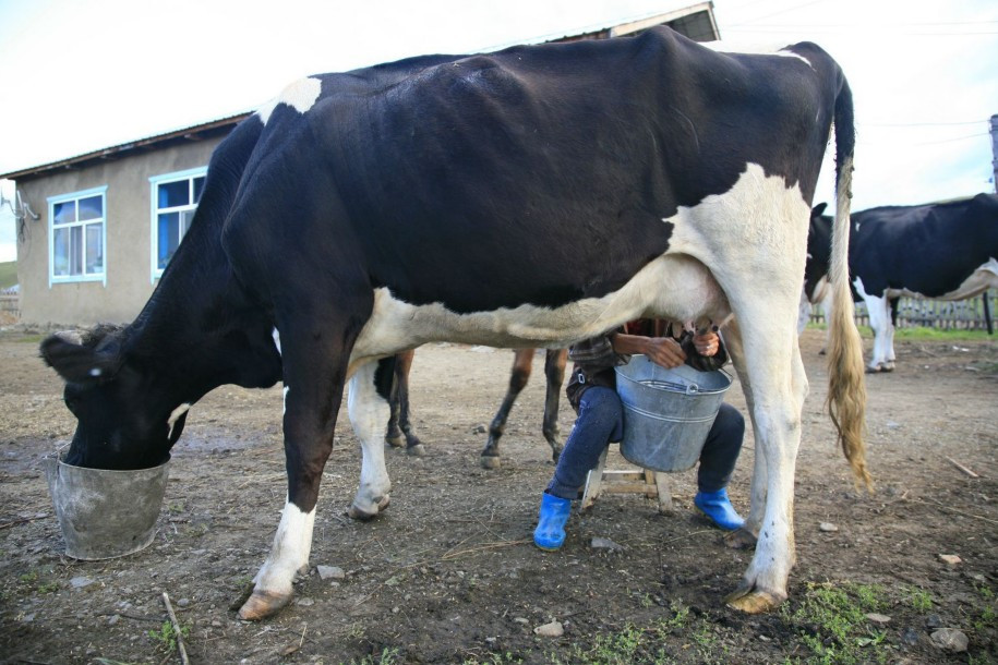 海拉尔国家森林公园-呼伦贝尔市必去景点