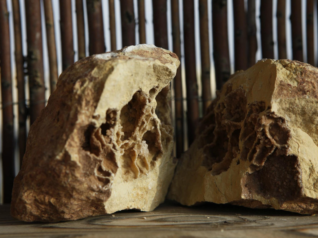 Desert Roof Top主图