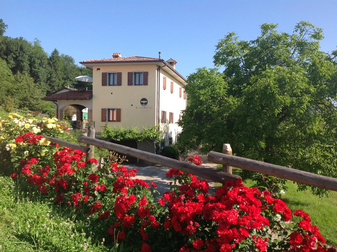 Agriturismo Colli di Poianis