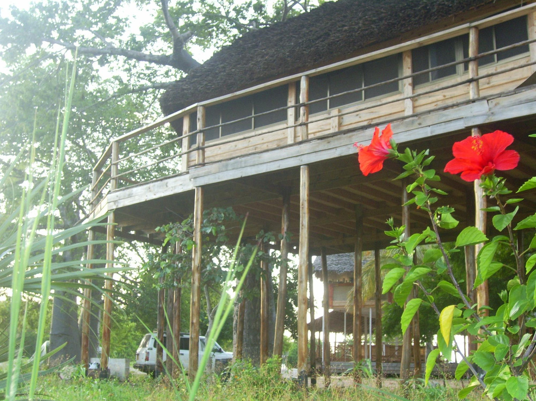 Bandari ya Amani Beach Lodge主图