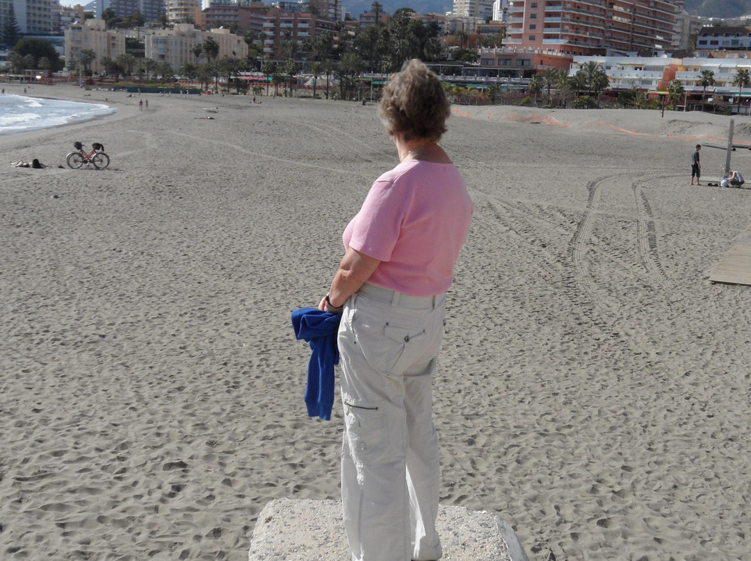 Playa Torrevigía景点图片