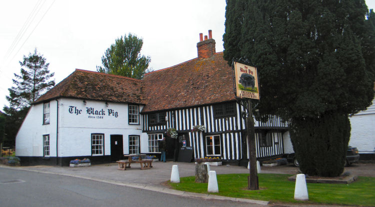 The Black Pig-官方