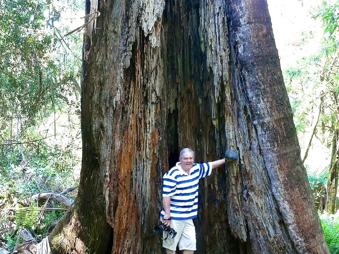 Grants on Sherbrooke-Kallista必去景点