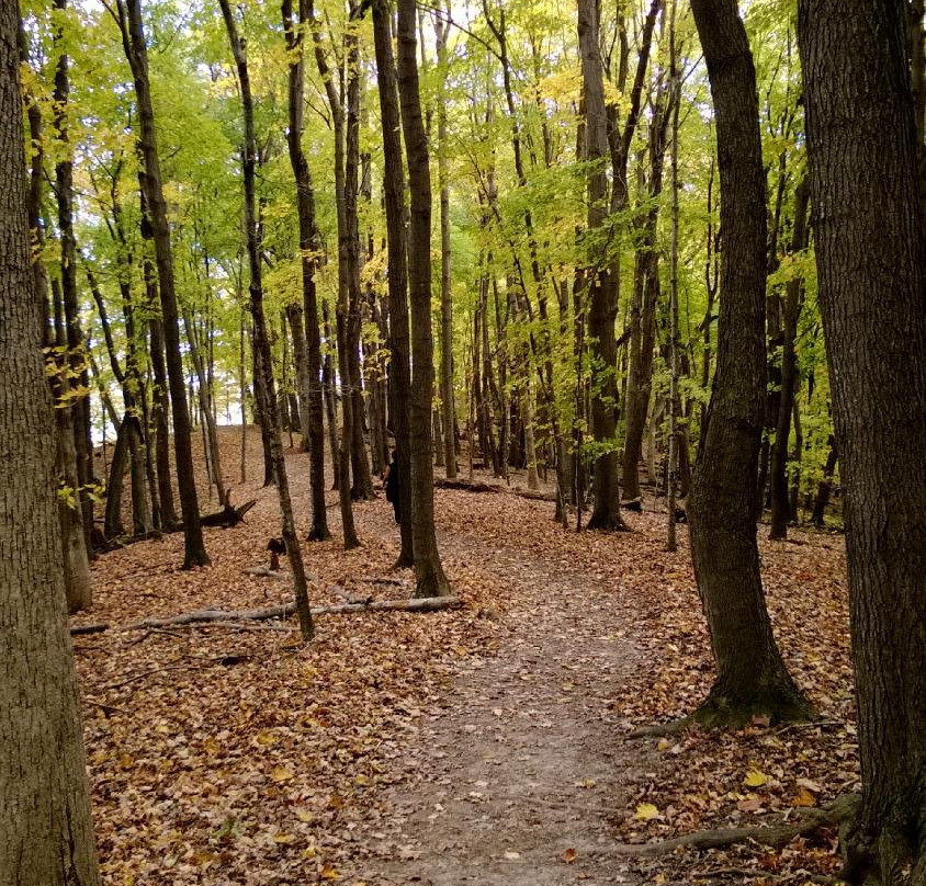 Great River Bluffs State Park景点图片