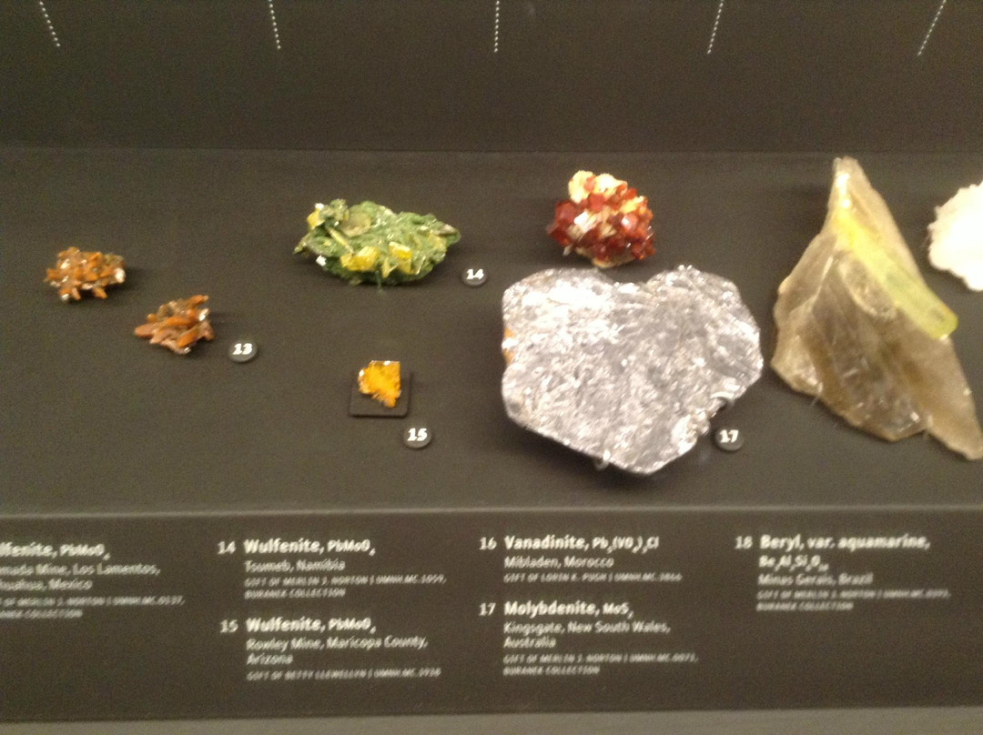 犹他州自然历史博物馆-盐湖城必去景点